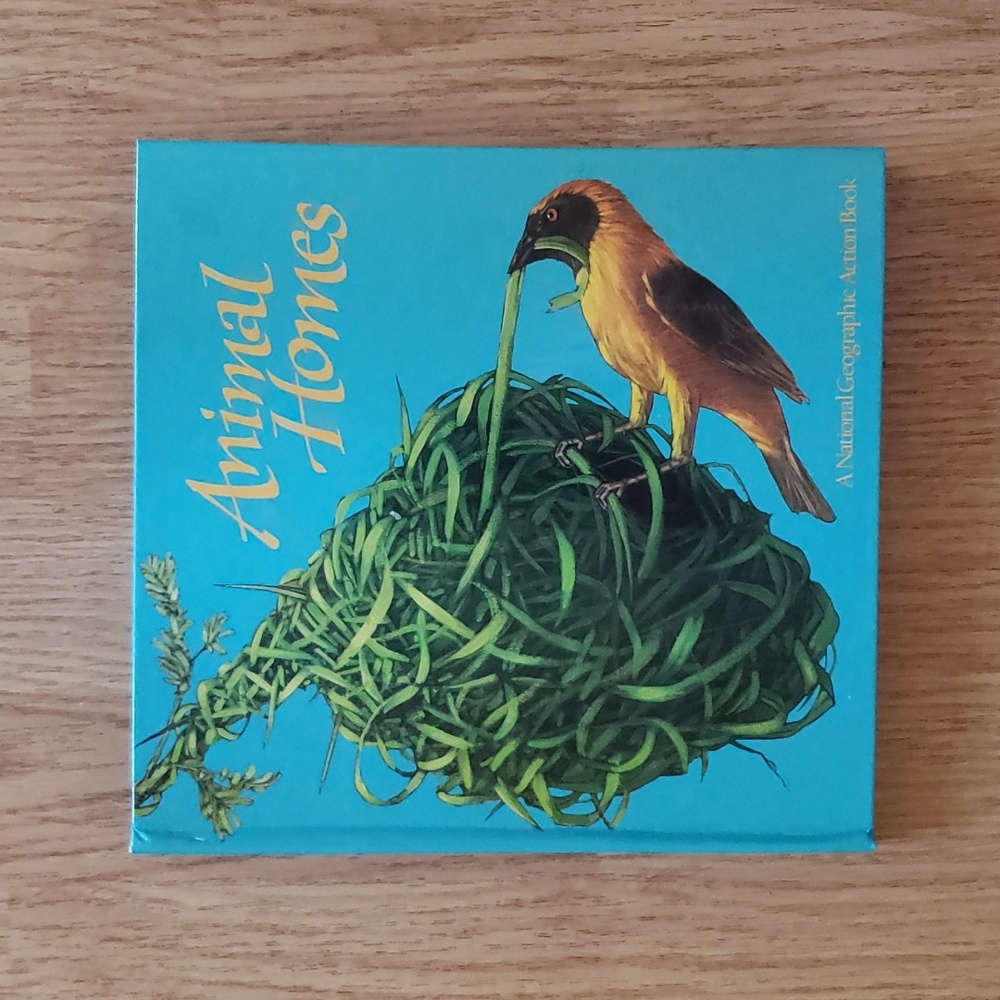 Vintage 1989 Pop-Up Animal Homes: A National Geographic Action Book